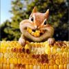Squirrel thmile front at wholly frap