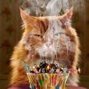 cat blaze of glory front at wholly frap
