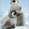 penguin feel the love front at wholly frap