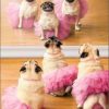 pug tutu front at wholly frap